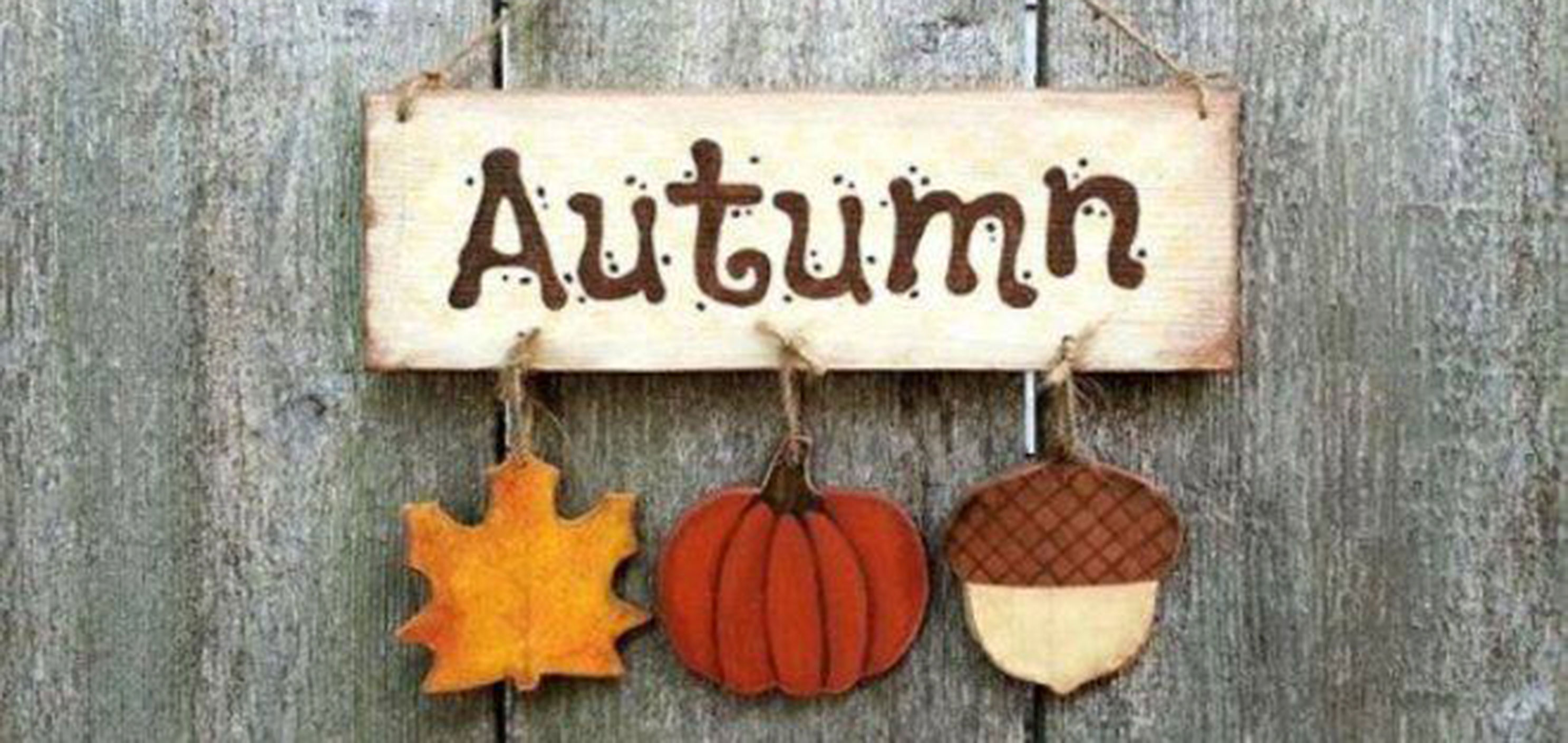 Colori d'autunno - mercatino della creatività